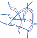 design-6